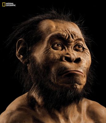Homo_naledi.jpg